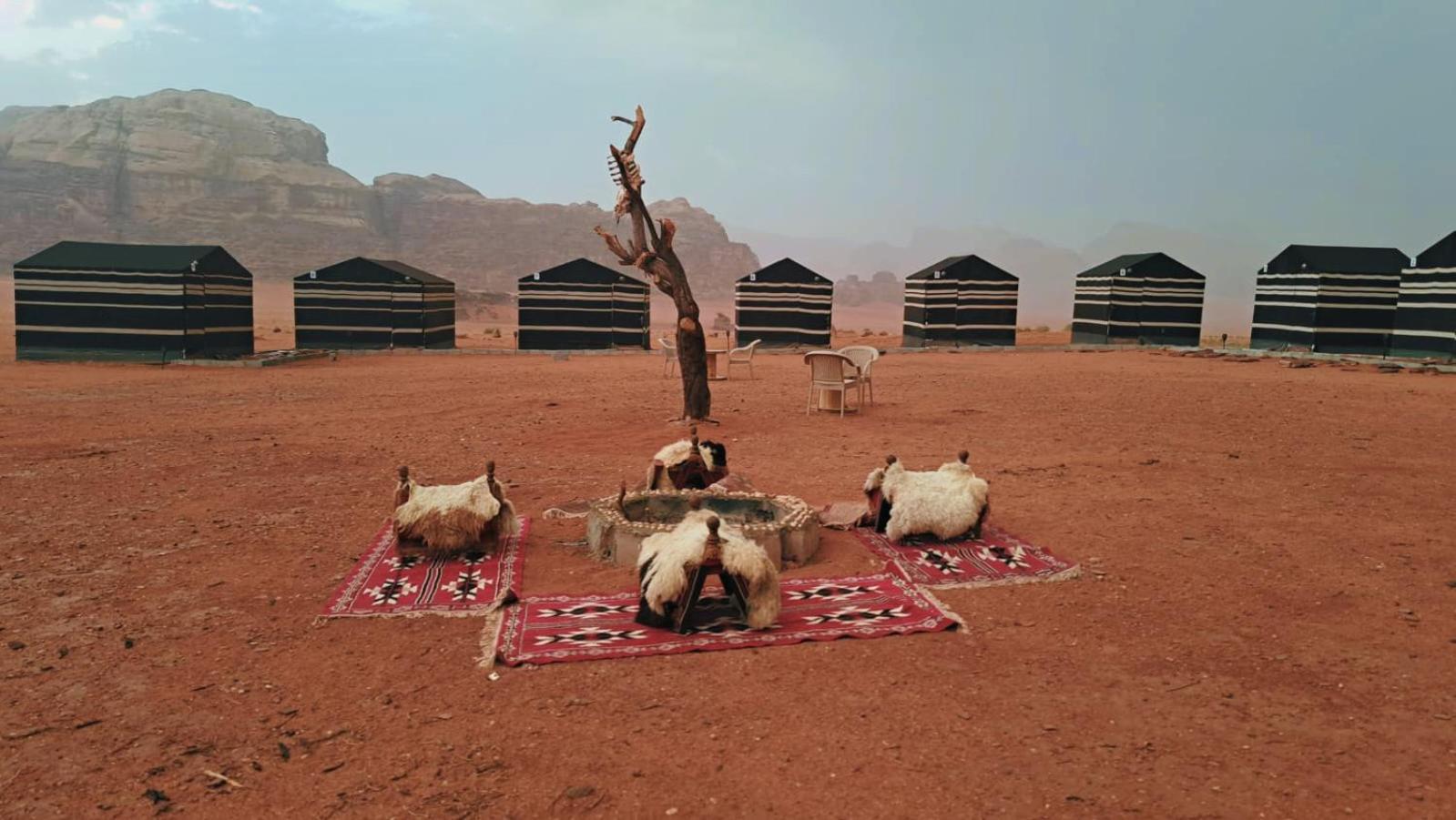Wadi Rum Bedouin Heart Camp Esterno foto